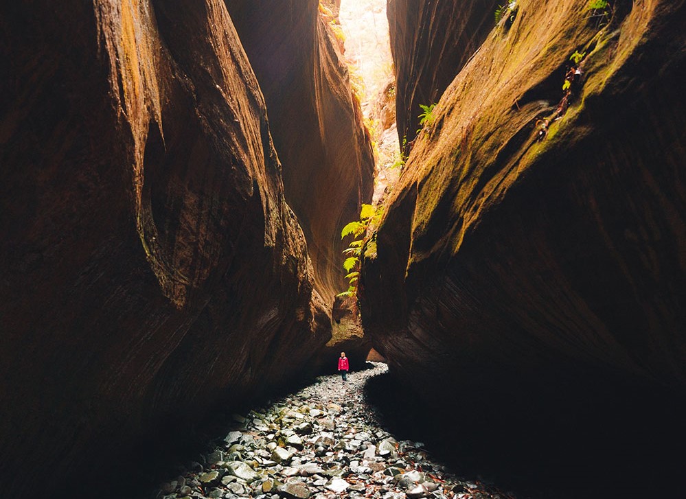 Walker in Carnarvon Gorge.