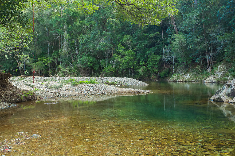 Mount Allan Trail in Conondale National Park.