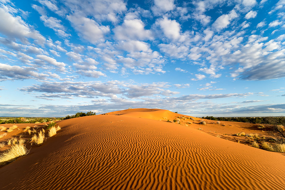 A sandhill near Toogunna Plains.