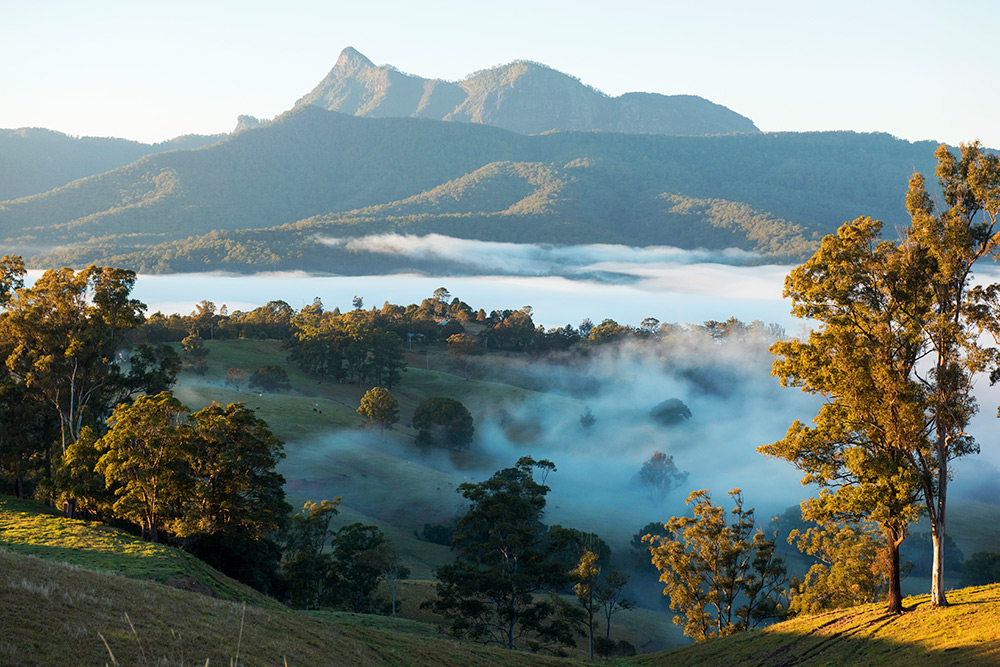 A view of Mount Warning.