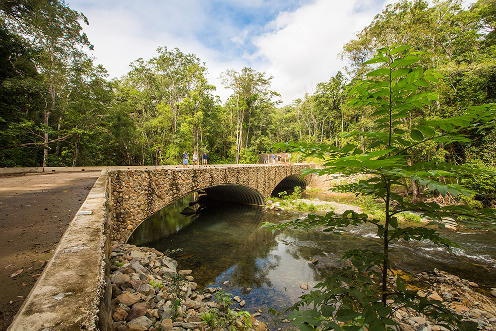 The Woobadda Creek bridge on the Bloomfield Track.
