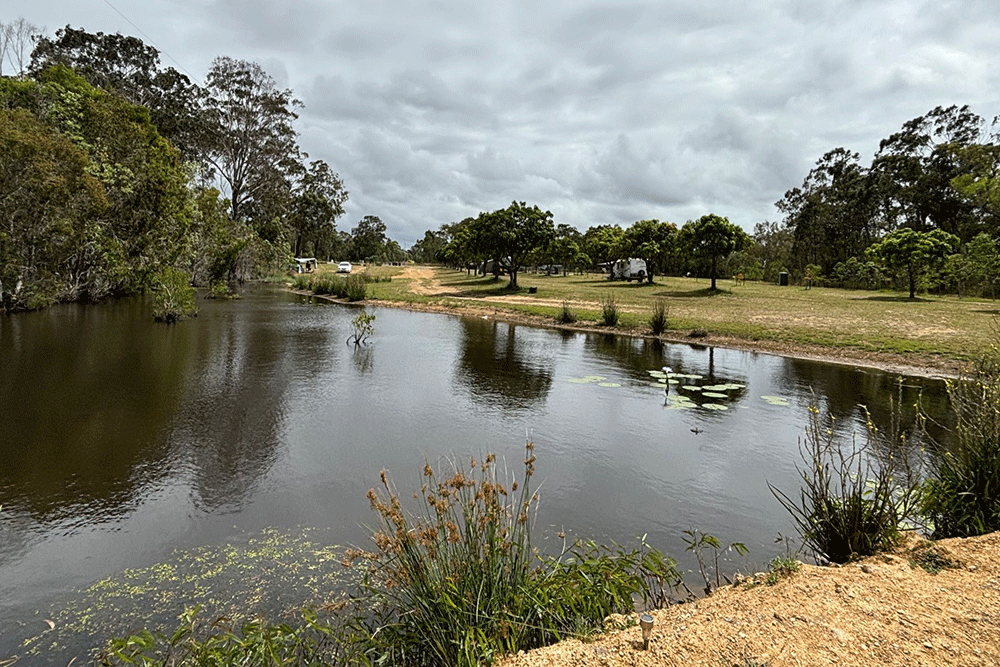 View of the dam at Thyme Travellers Farm Stay.