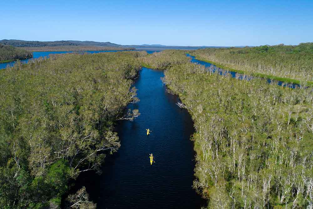 Paddlingon the Noosa Everglades.