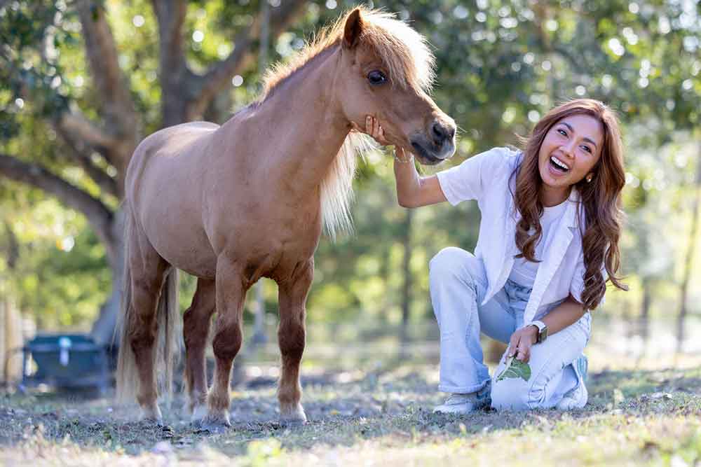 Fun with the animals at Trevena Glen.
