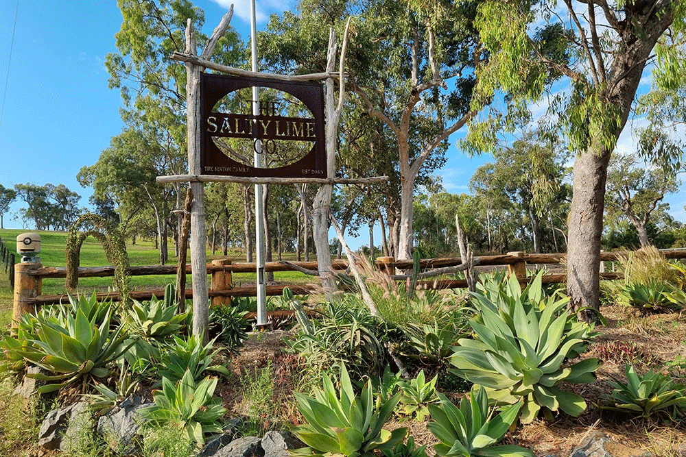 Entry to the Salty Lime Co. on the Capricorn Coast.