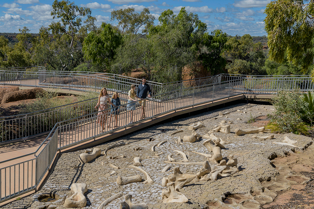 Fossils at Winton's Age of Dinosaurs Museum.