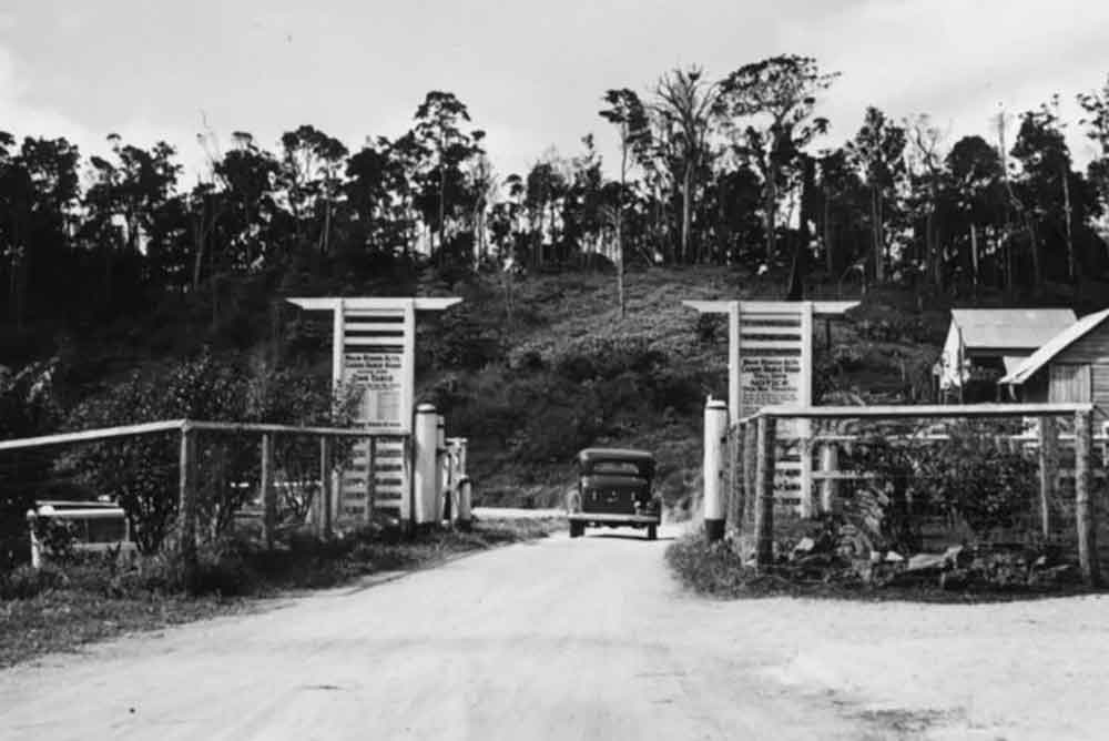 The Gillies Range Road Top Gate.
