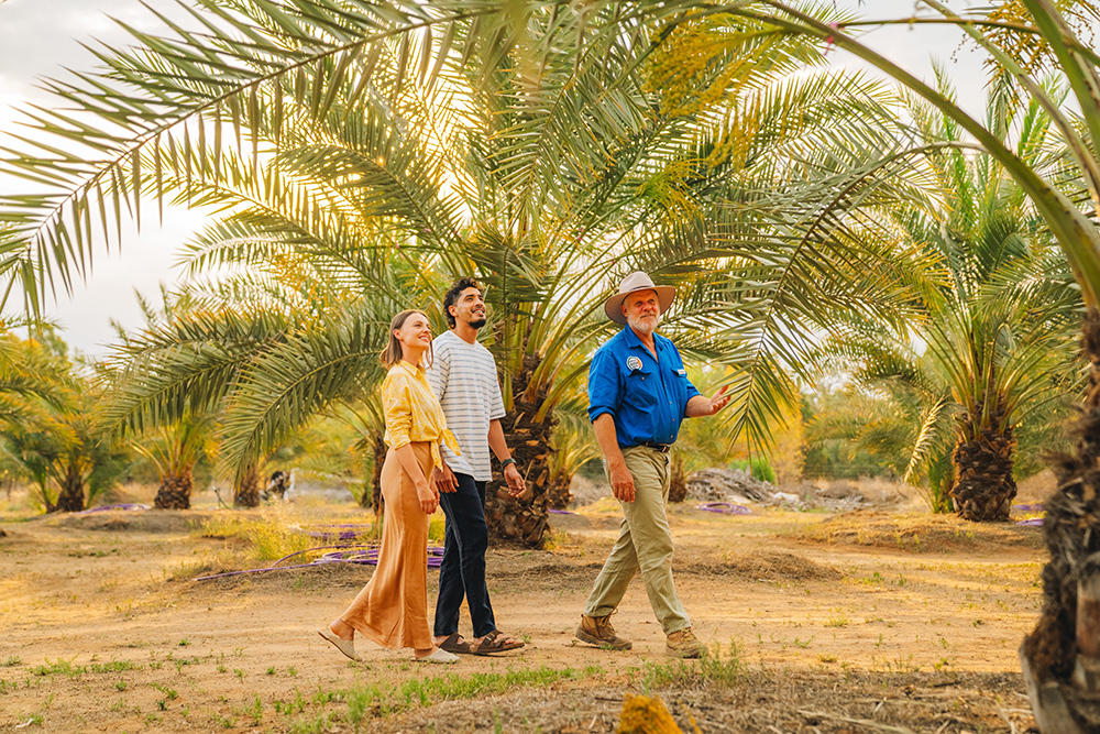 The Outback Date Farm, Charleville.