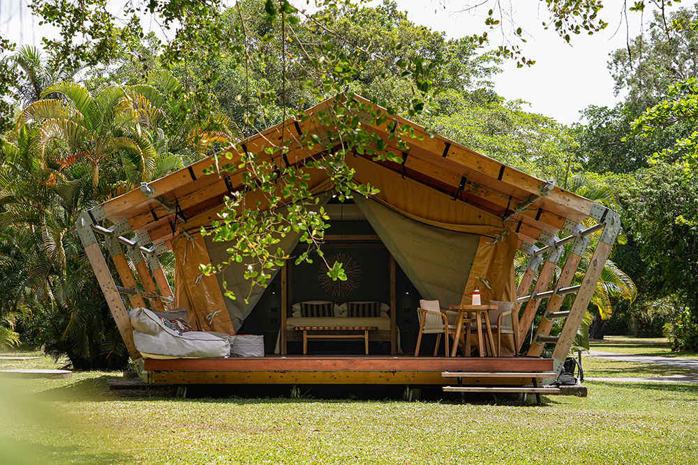 Daintree Beach Resort glamping pavilions.