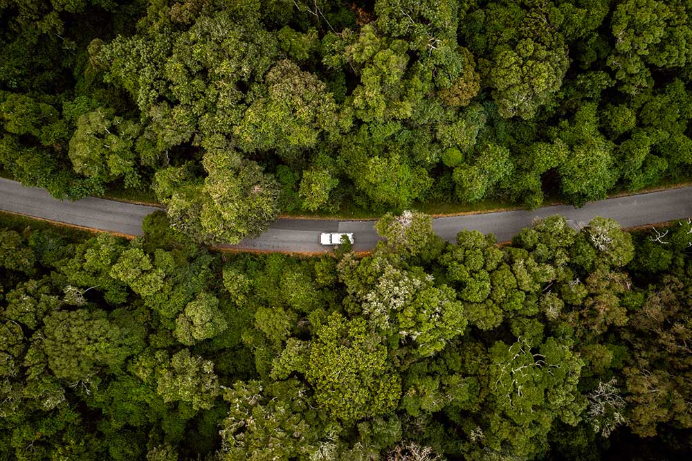 Overhead view of car driving through Bunya Mountains.