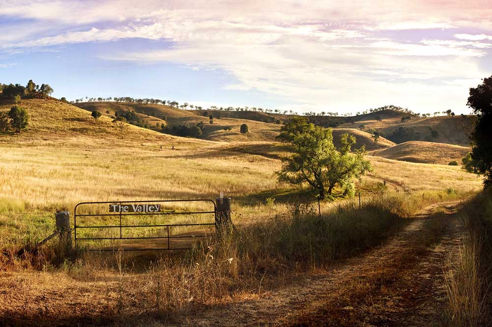 A rural setting near Crows Nest.