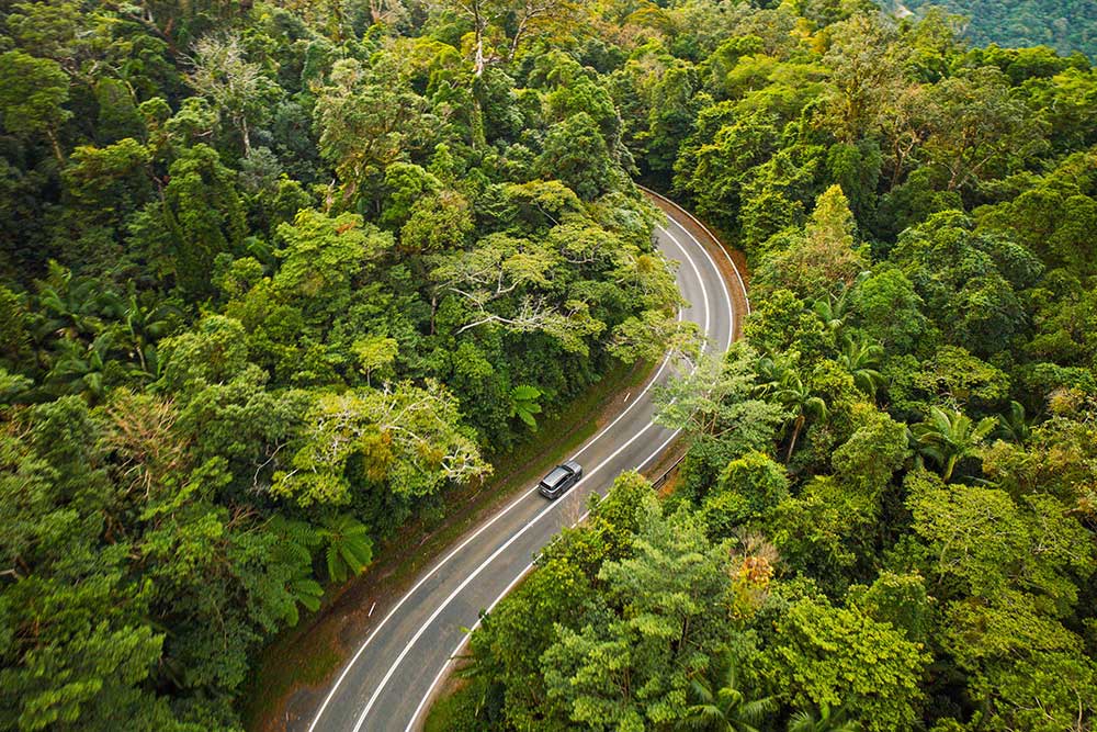 Aerial photo of a road snaking through Eungella National Park 