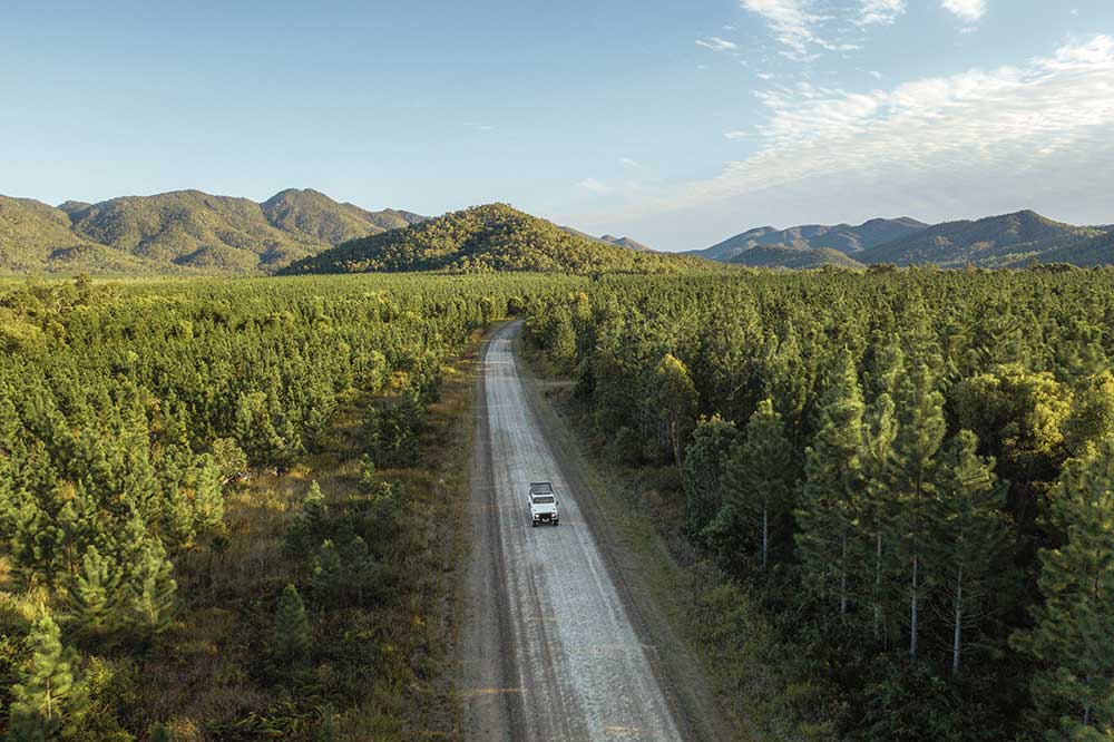 Overhead veiw of 4WD vehicle driving through a tree-lined section of Byfield National Park