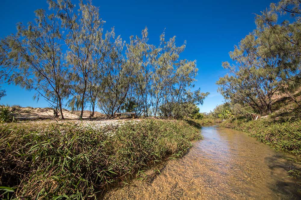 A section of the Freshwater Creek walking track