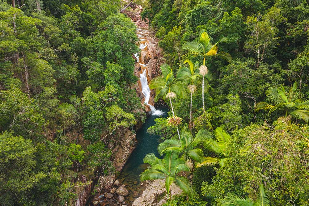 Aerial view of waterfall in Finch Hatton Gorge National Park