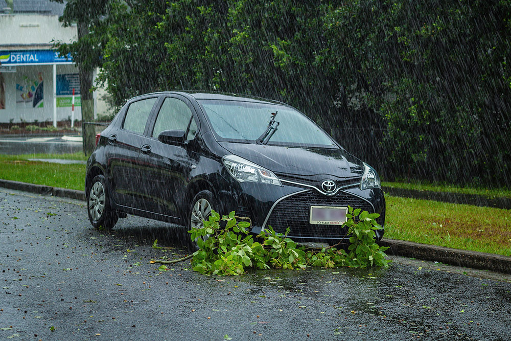 ex-Tropical cyclone Alfred
