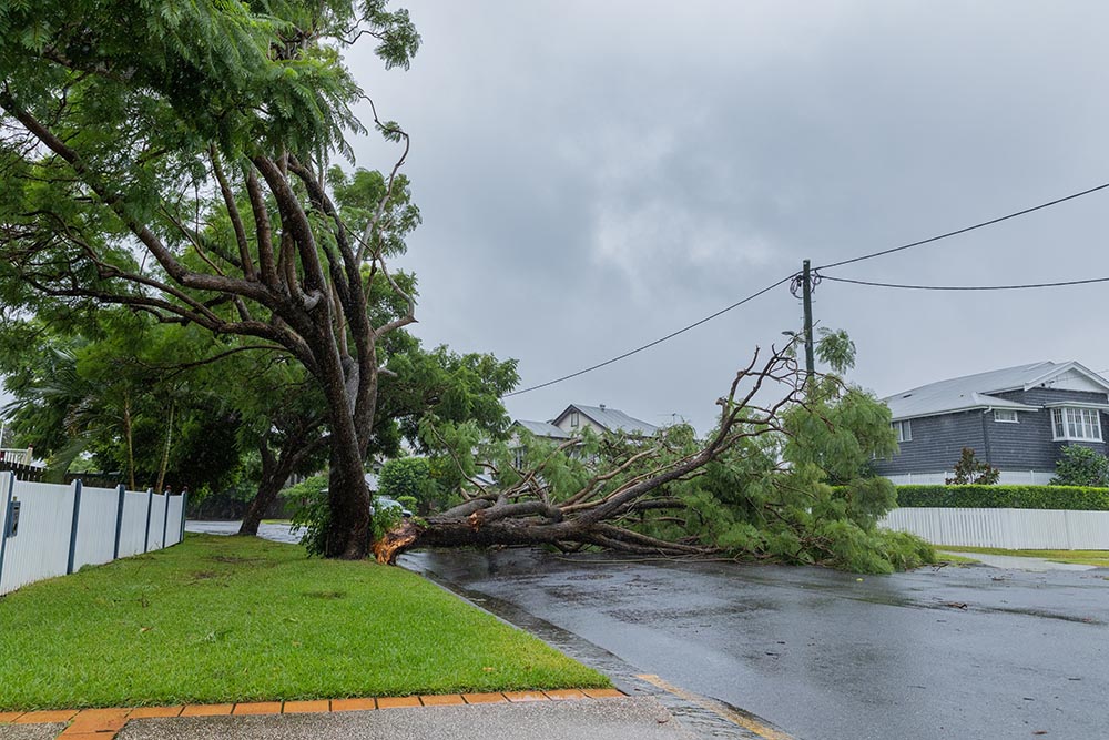 ex-Tropical cyclone Alfred