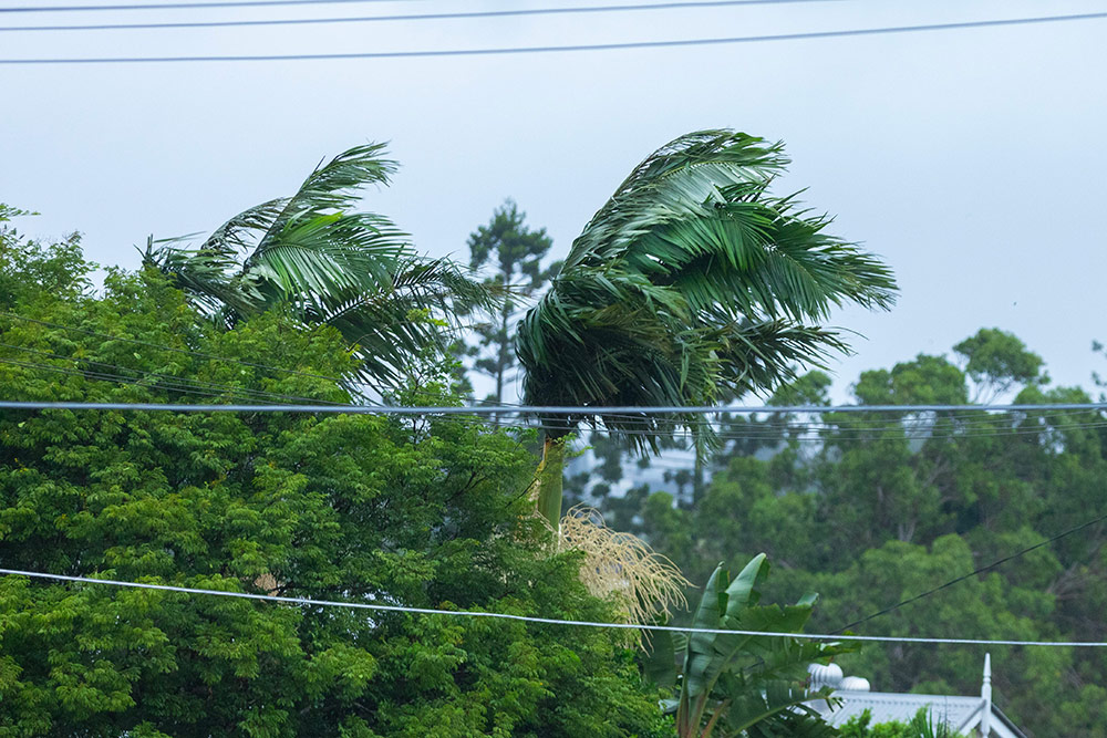 ex-Tropical cyclone Alfred