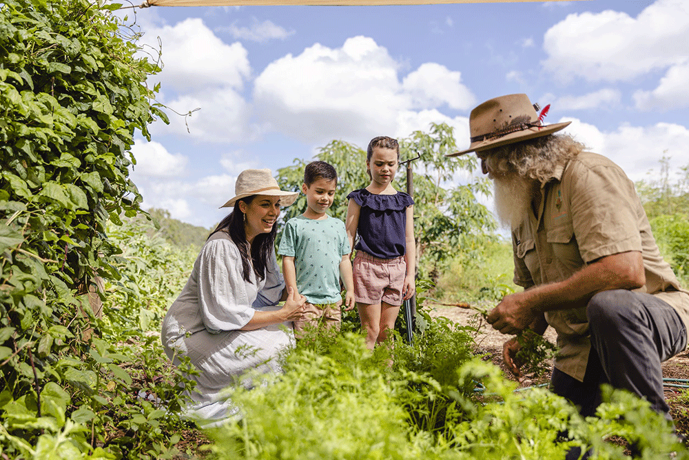 High Valley Dawn Permaculture Farm.