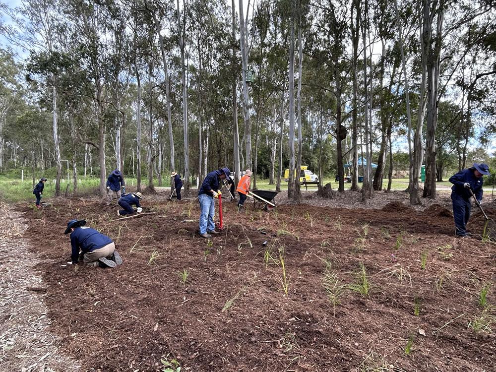 RACQ volunteers working at the Archerfield wetlands rejuvenation project.