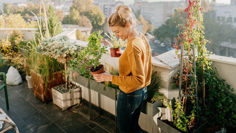 working on a balcony garden.