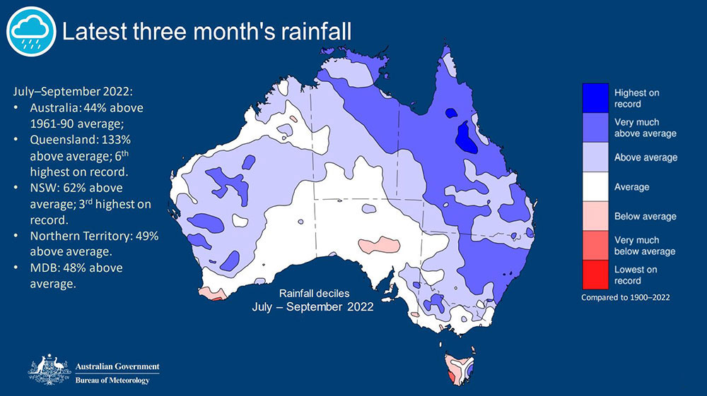 Rainfall chart graphic.