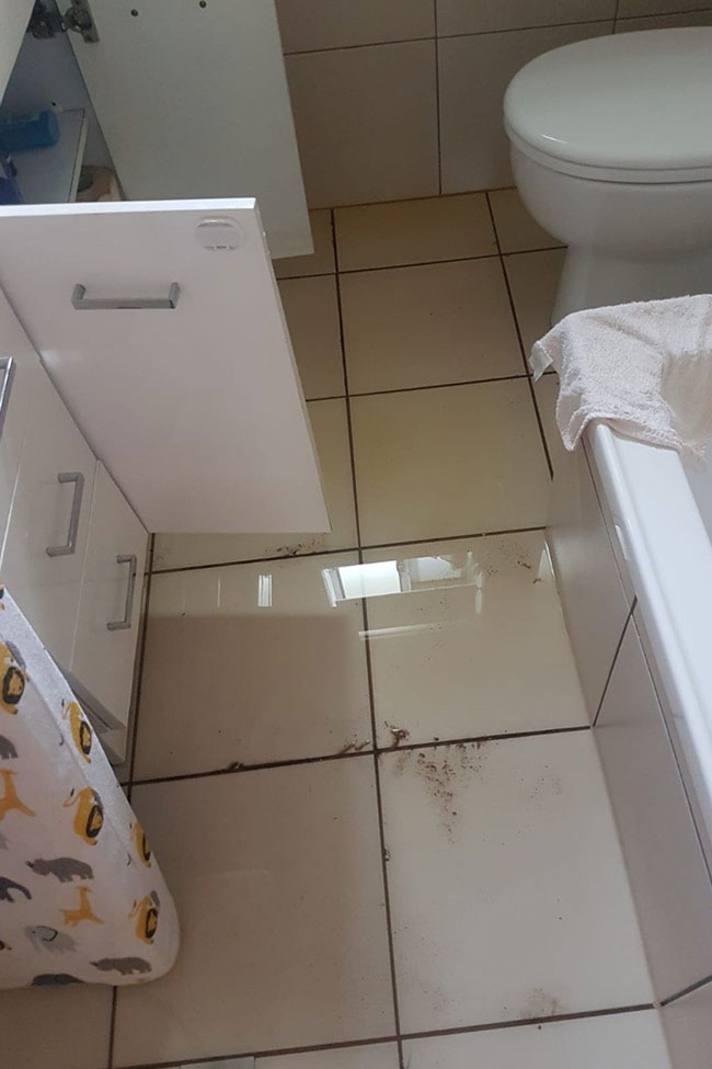 Water on bathroom floor after flexi hose burst.
