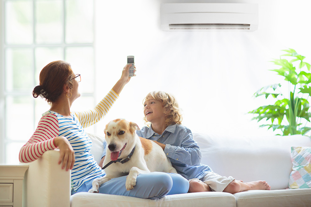 Mother, son and dog relaxing in a room with air conditioner.
