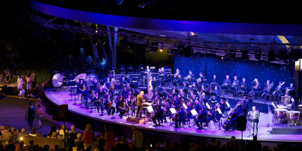 Symphony Under the Stars