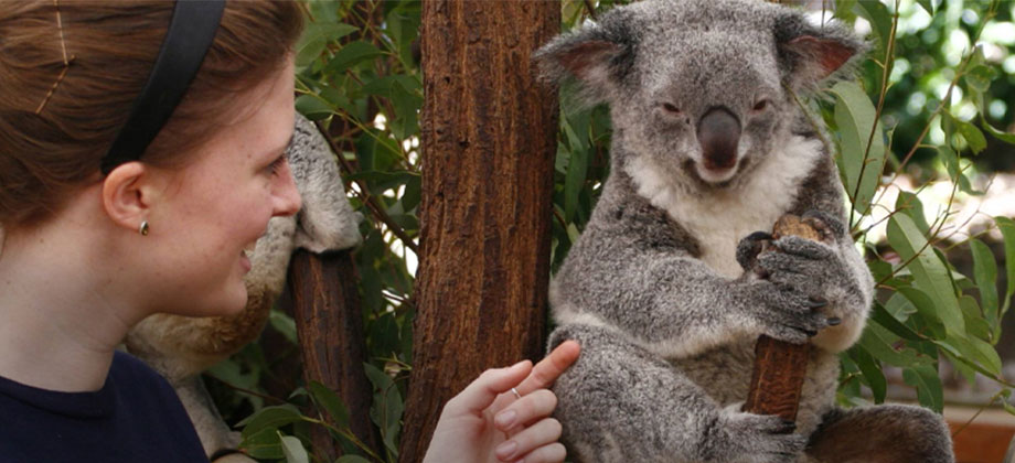 Girl playing with koala