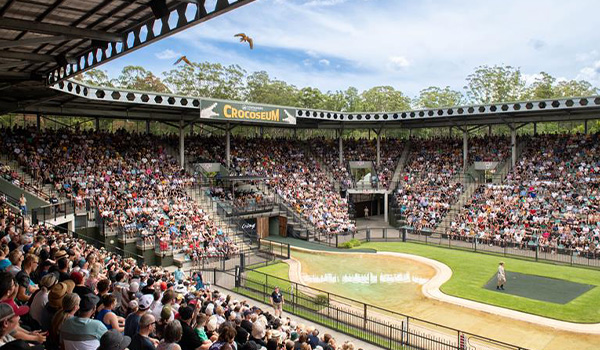 australia zoo show crowd 600x350