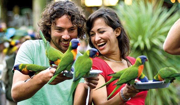 Couple spending time with bird life