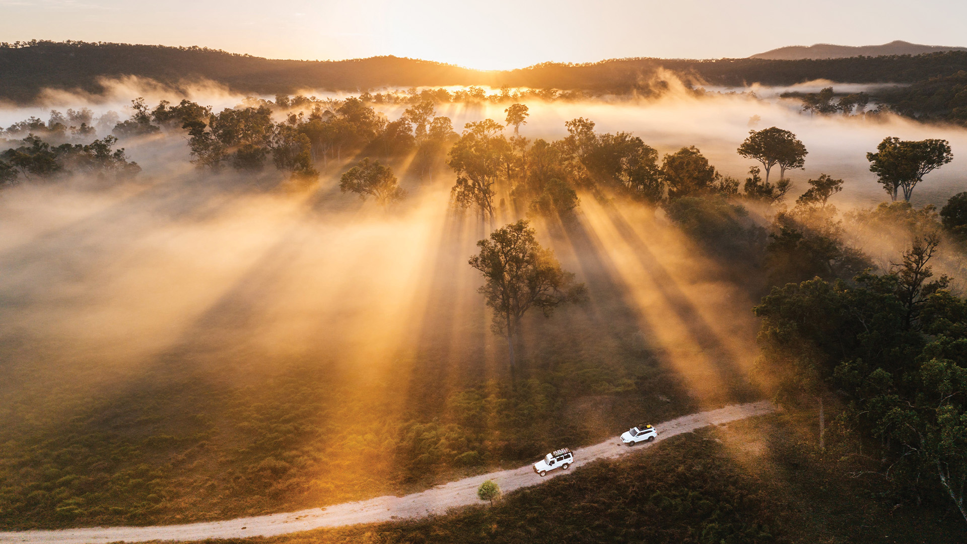 Carnarvon National Park CarnarvonGorge Central Queensland Nature Tours