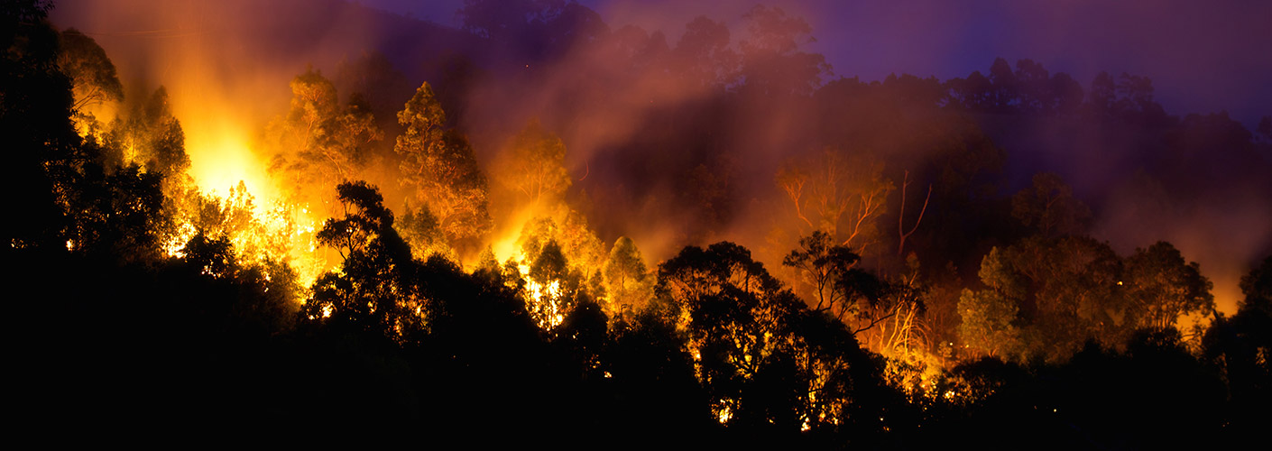 Bushfire1410x500