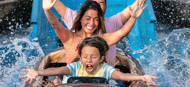 member benefits slide