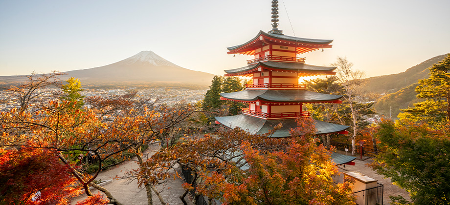 Chureito Pagoda and MtFuji at sunset
