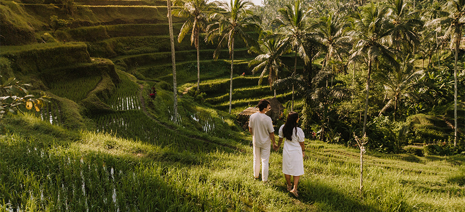 couple visiting a rice field in bali