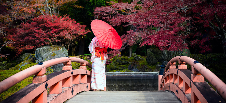 Woman on bridge in Kyoto in cherry blossom season