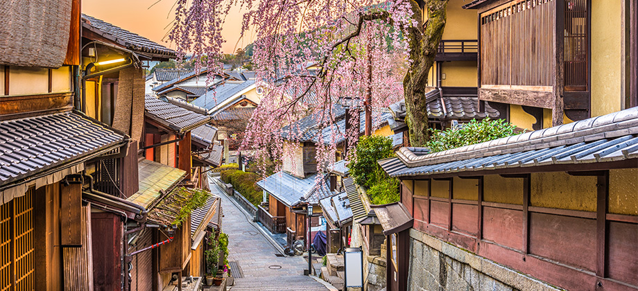 kyoto japan spring cherry blossoms in village