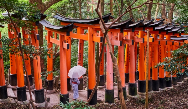 woman in traditional clothing walking through red torii gates