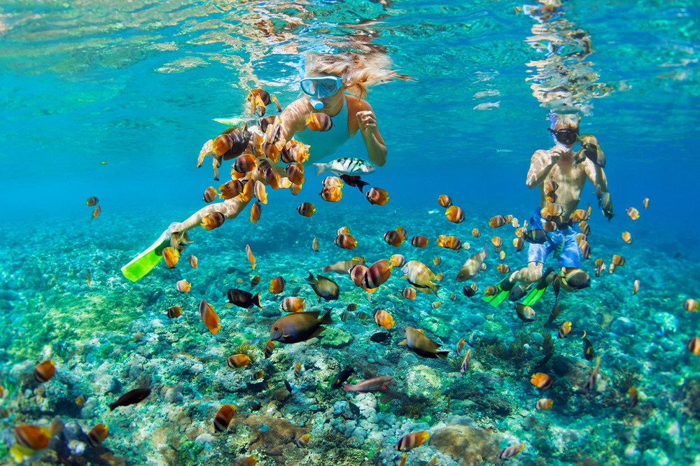 Young couple in snorkeling mask dive underwater in tropical sea