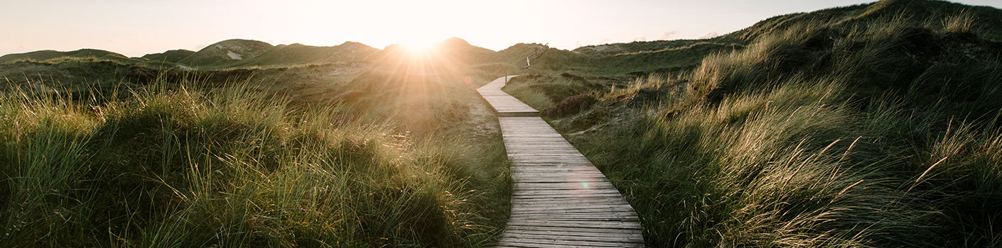 deceased-estates-boardwalk
