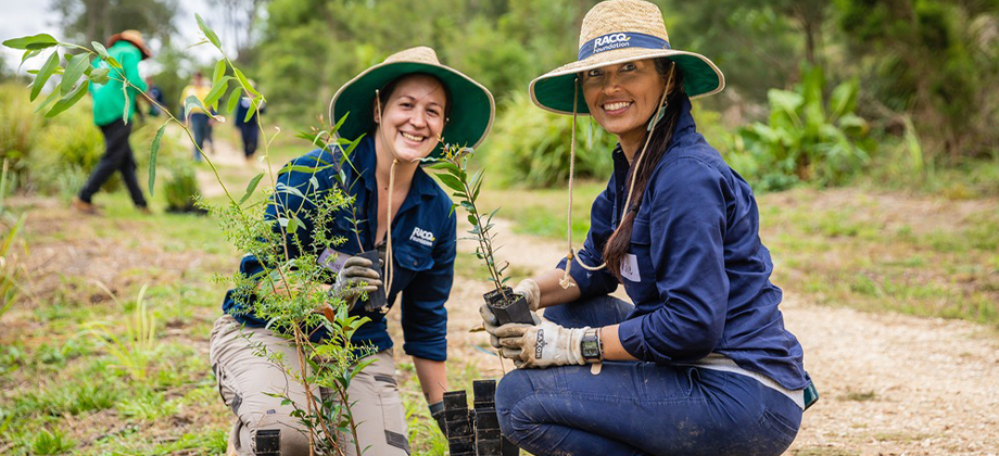 Gympie Muster Hero Image 920x420 cropped
