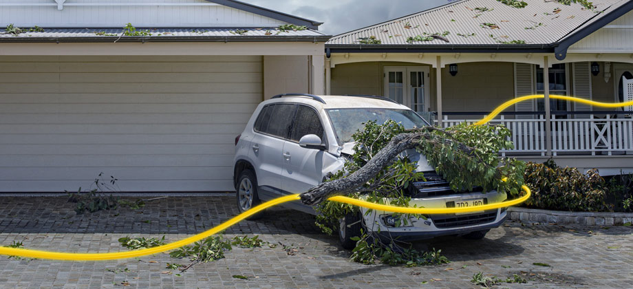 Tree fallen on car